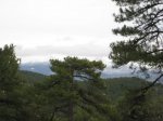 IMG_2498.jpg