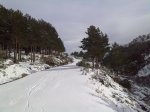 02012010111.jpg