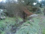 salida 03-01-2010 033.jpg