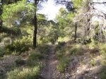 Imagen 011.jpg