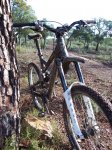 BICI y VARIAS 062.jpg
