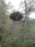 DSC04133.jpg