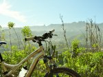 20100102-DSC_0038.jpg