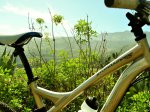20100102-DSC_0041.jpg