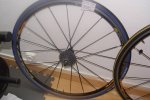 DSC04012.jpg