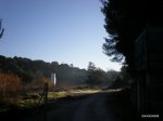 PC270003.JPG