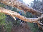 salida 03-01-10 034 [Desktop Resolution].jpg