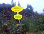 DSC00337.jpg