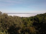 niebla desde peregrino.jpg