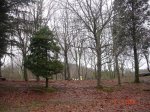 DSC03141.jpg