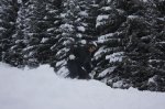 IMG_0529.jpg