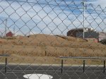 NUEVO PARQUE CICLISTA 006 (Medium).jpg