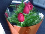 rosas mdr (Medium).jpg