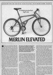 MBA_Merlin_4.jpg