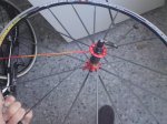 DSC01193.jpg
