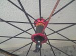 DSC01200.jpg