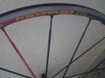 DSC01203.jpg