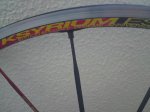DSC01210.jpg
