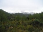 P1010020.jpg