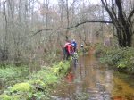 DSC00296.jpg