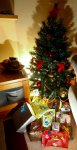 _MG_7584-Editar.jpg