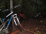 DSCF4701.jpg