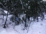 IMG_0130.jpg