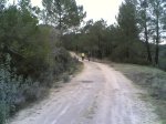 salida 06-01-2010 018.jpg