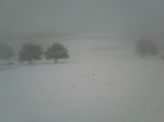 IMG042.jpg