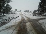 IMG039.jpg