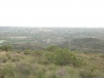 IMG_1959.jpg