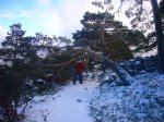Foto44.JPG