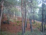 Foto48.JPG