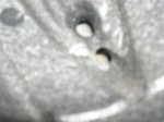 DSCN9853.jpg