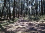 Imagen013.jpg