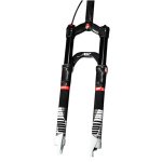 XRC100limited dulight.jpg