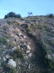 DSC01214.jpg