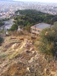 DSC01215.jpg
