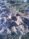 DSC01216.jpg