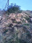 DSC01217.jpg