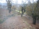 SDC10353.jpg