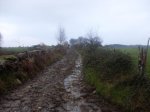 SDC10355.jpg
