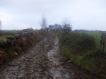 SDC10356.jpg