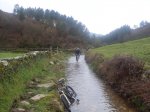 SDC10370.jpg