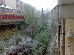 10042009254.jpg