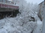 Noviembre 2008-1.jpg