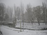 SANY0081_redimensionar.JPG