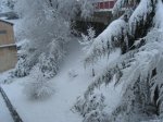 IMG_0198.jpg