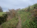 SDC10397.jpg