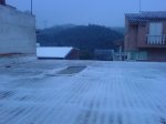 DSC03518.JPG